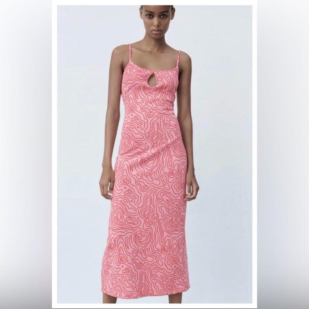 Zara Pink and Black Maxi Dress